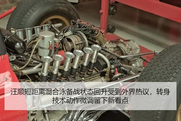 汪顺短距离混合泳备战状态回升受到外界热议，转身技术动作微调留下新看点